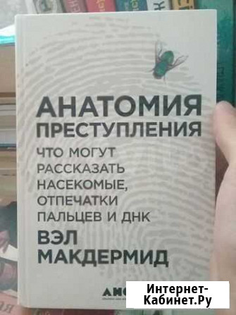 Анатомия преступления Грозный - изображение 1