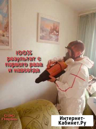Сэс-Уничтожение вирусов,клопов,тараканов,грызунов Пермь - изображение 1