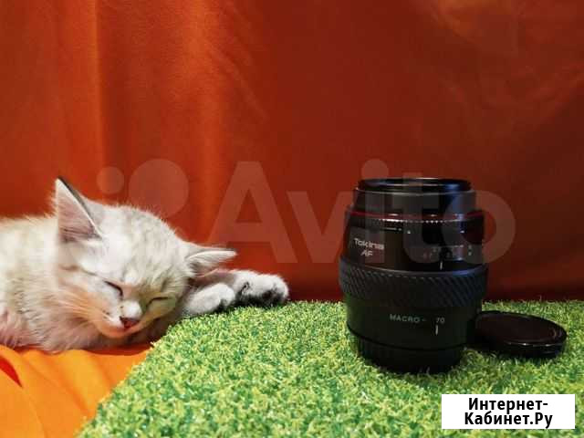 Объектив для Sony Tokina 28-70 mm f/2,8-4,5 Краснообск - изображение 1