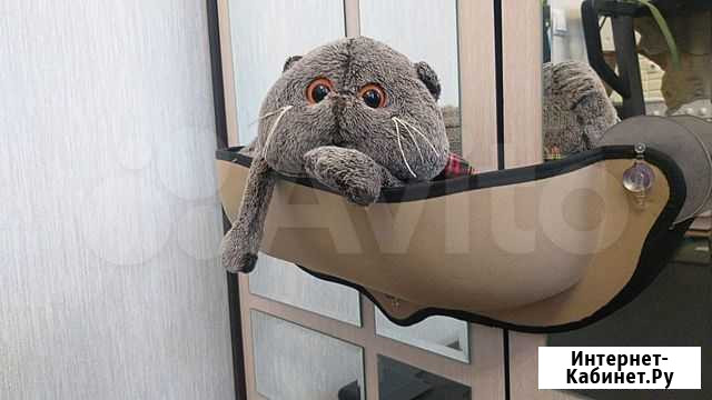 Гамак для кошек на присосках Жуковский - изображение 1