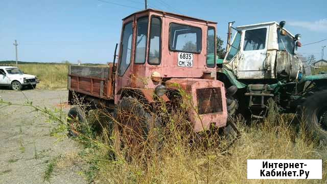 Самоходное шасси Т-16 Ставрополь - изображение 1