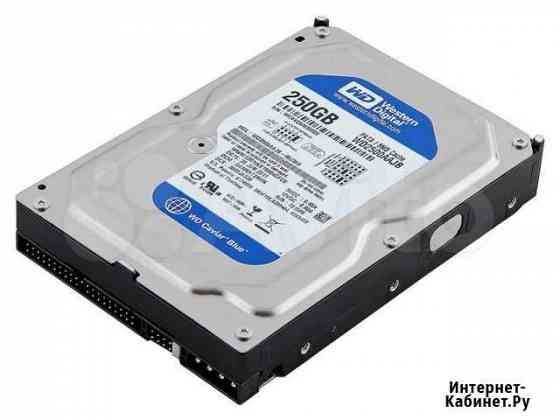 Новый IDE Жесткий диск Western Digital WD Blue 250 Абакан