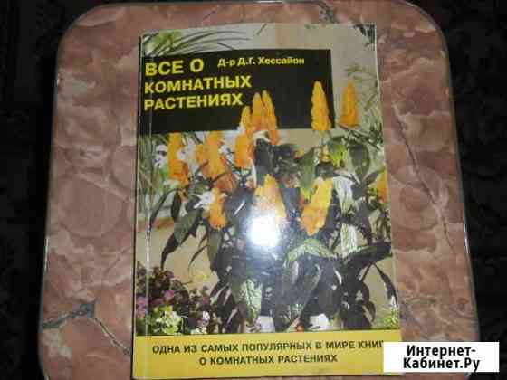 Все о комнатных растениях Красноярск