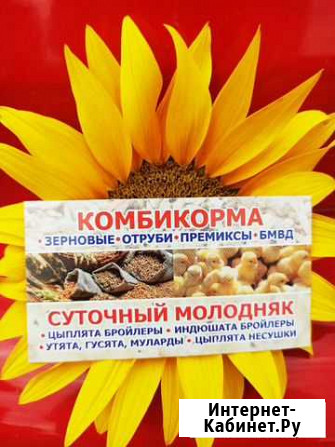 Корма для сельскохозяйственных животных и птицы Евпатория - изображение 1