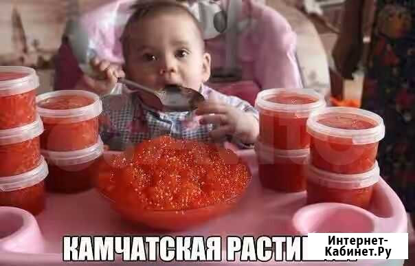 Красная икра 2020 года (Горбуша, Кета, Кижуч) Тамбов - изображение 1