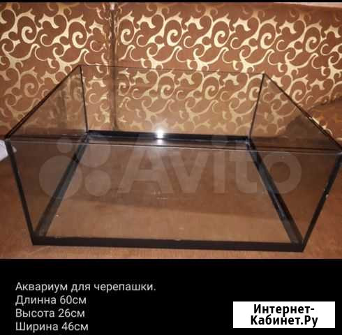 Аквариум для черепашки. Домики в подарок Йошкар-Ола - изображение 1