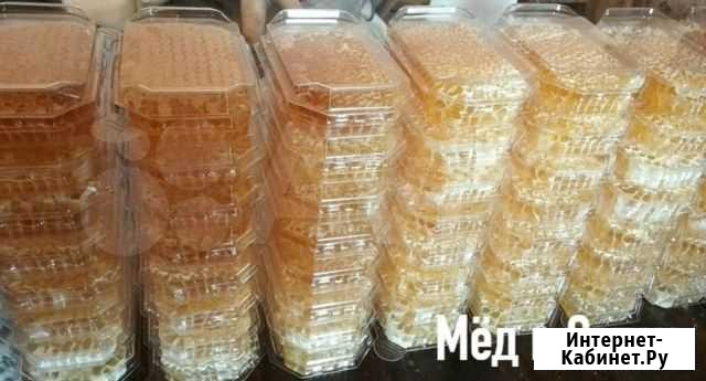Алтайский мёд Натуральный Северодвинск - изображение 1