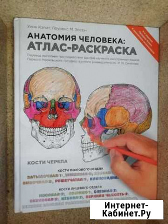 Атлас по анатомии Строитель - изображение 1