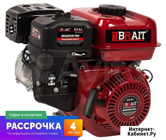 Двигатель Brait BR-202 P PRO (6.5 лс, 19.05 мм, пр Вольск - изображение 1
