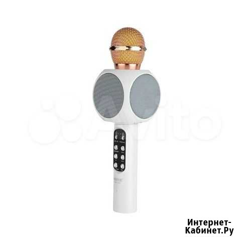 Беспроводной караоке микрофон Wster WS-1816 с Led Нижний Новгород - изображение 1