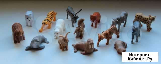 Дикие животные Animal Planet Москва - изображение 1