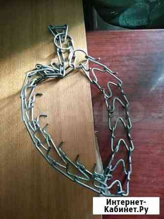 Строгий ошейник Новосибирск