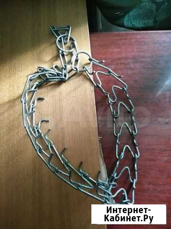 Строгий ошейник Новосибирск - изображение 1