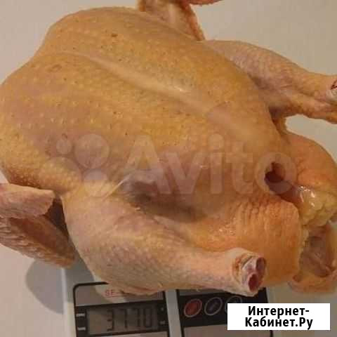 Мясо домашнее, бройлеры, гуси, утки, кролики Невинномысск - изображение 1