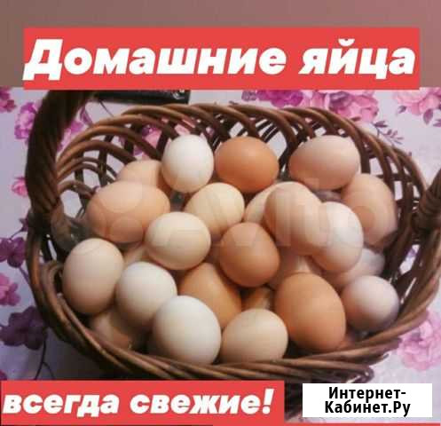 Яйца Гуково - изображение 1