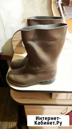 Сапоги для леса Мурманск - изображение 1