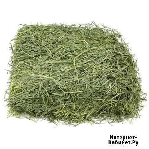 Сено Белгород - изображение 1