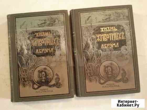 Жизнь животных Брэма, 1902 г Балашиха