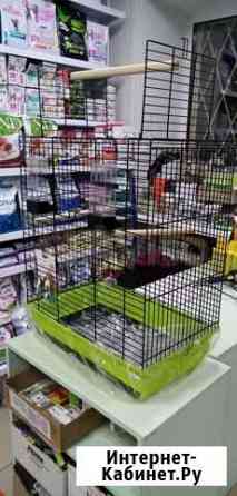 Клетка для попугая Казань