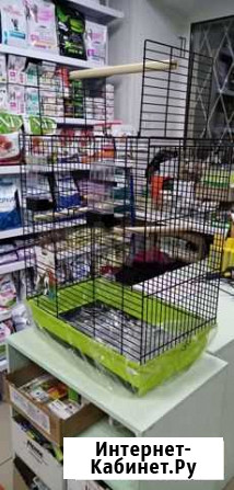 Клетка для попугая Казань - изображение 1