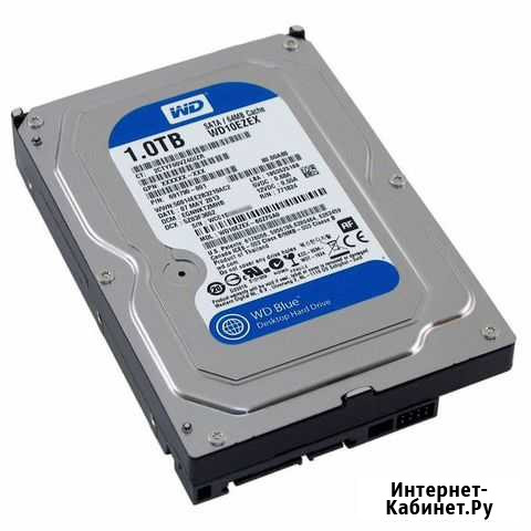 Жесткий диск 3.5 1 Tb Улан-Удэ - изображение 1