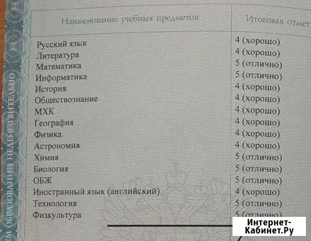 Репетитор Пушкино - изображение 1