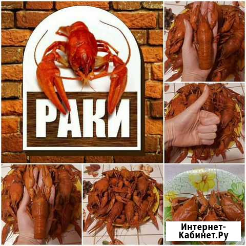 Раки Самара - изображение 1