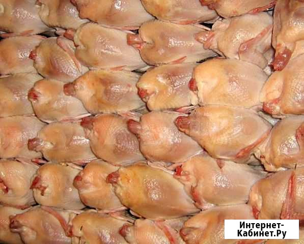 Охлажденное мясо перепела Георгиевск - изображение 1