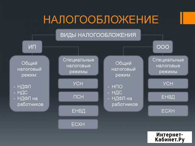 Нулевые отчеты, бухгалтер Петрозаводск - изображение 1