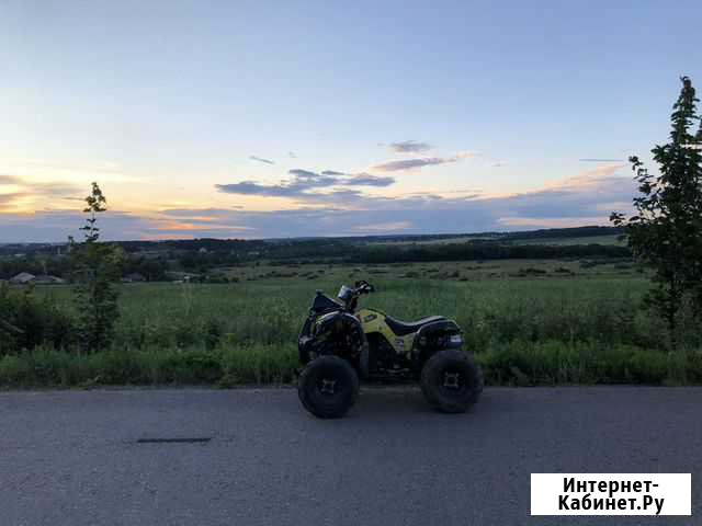 Квадроцикл 250 кубов (свап) Деденево - изображение 1