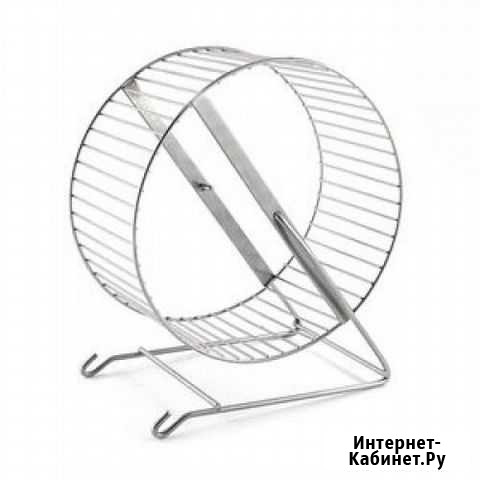 Колесо игрушка для грызунов Саратов - изображение 1