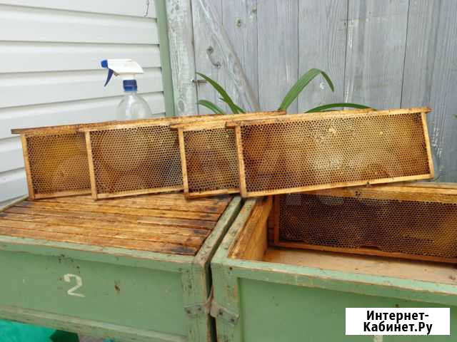 Рамки для ульев магазинные с сушью Сарапул - изображение 1