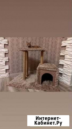 Домик для котов Армавир - изображение 1