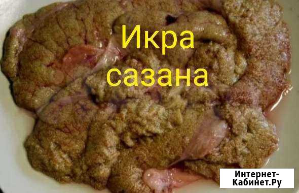 Икра сазана свежая Электросталь - изображение 1