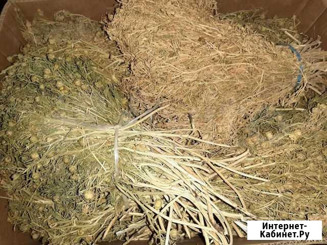 Исрик Тюмень - изображение 1