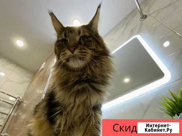 Ванная туалет под ключ Пенза - изображение 1