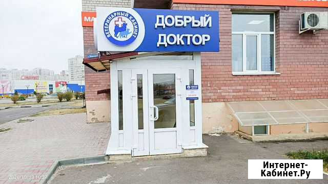 Ветеринарный кабинет Добрый Доктор Тамбов - изображение 1
