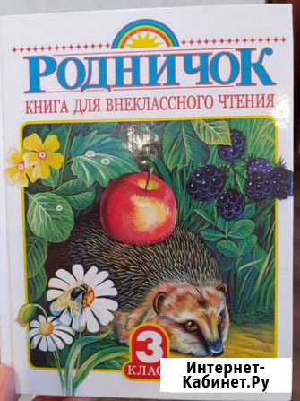 Внеклассное чтение Мурманск - изображение 1