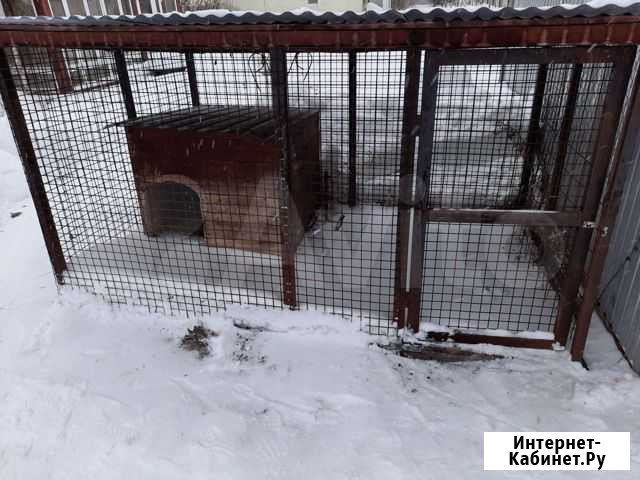 Вольер для собак Чехов - изображение 1