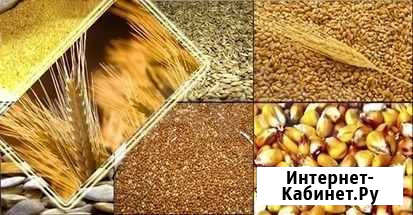 Ракушка, Отруби, Пшеница, Комбикорм Кинель-Черкассы - изображение 1