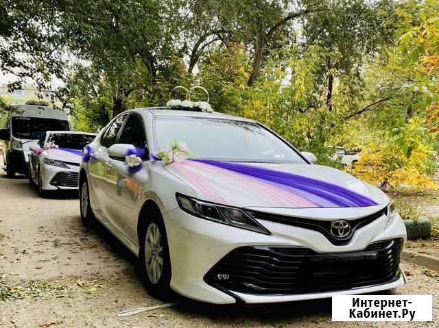 Тойота Камри на свадьбу кортеж любой район Волгоград - изображение 1
