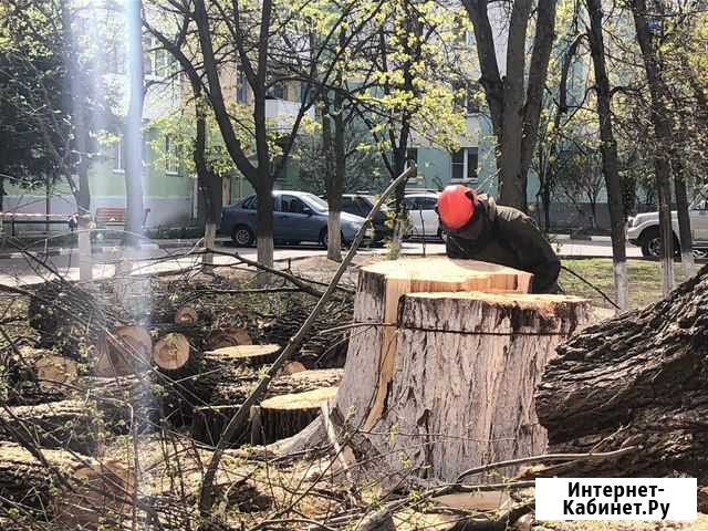 Спил деревьев Старый Оскол - изображение 1