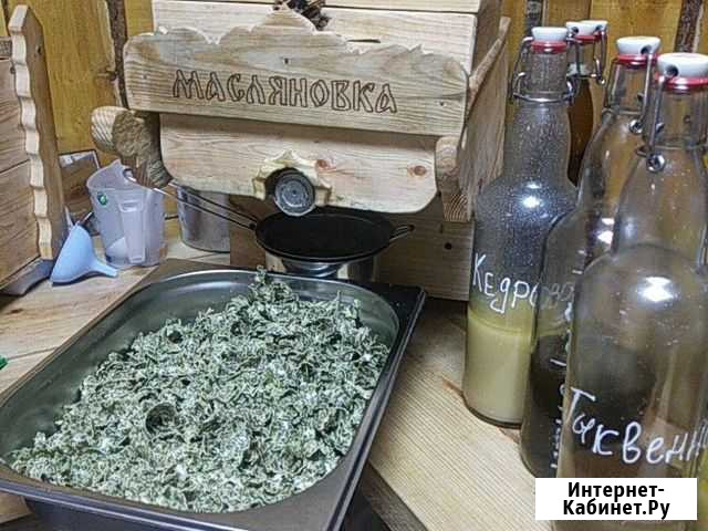 Тыквенный жмых Омск - изображение 1