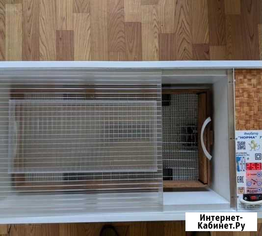 Выведу цыплят на заказ, можно из ваших яиц Улан-Удэ - изображение 1