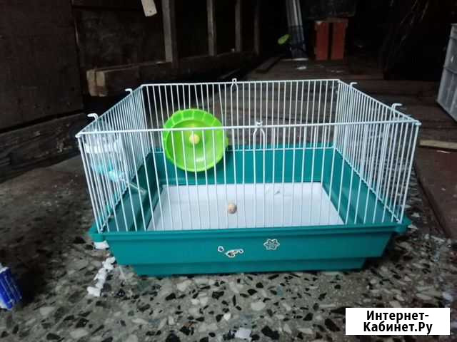 Клетка для грызунов Новоалтайск - изображение 1