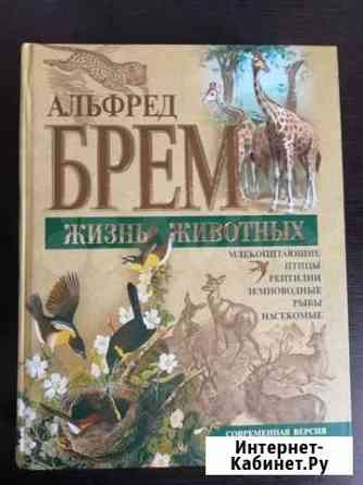 Книга Жизнь животных Курск