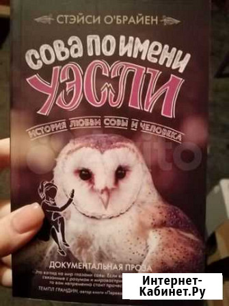 Сова по имени Уэсли. Стэйси ОБрайен Елец - изображение 1