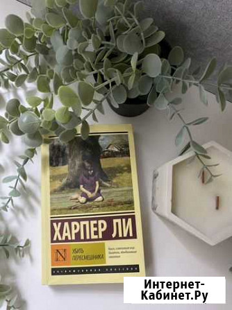 Харпер Ли убить пересмешника Мурино - изображение 1
