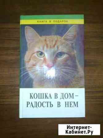 Кошка в дом-радость в нЁм Сургут