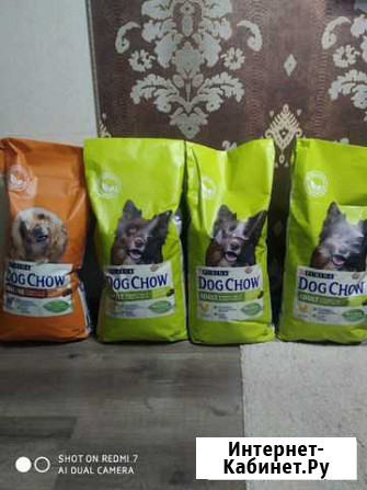 Корм для собак Dog Chow Пермь - изображение 1